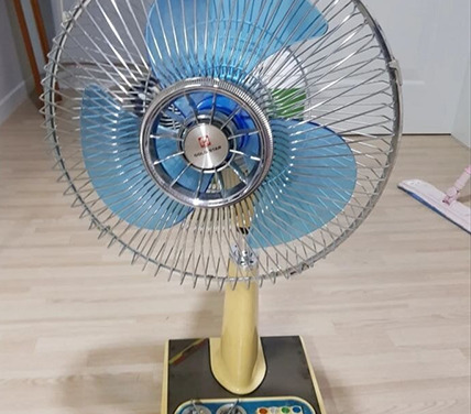 tc_1724032675_1631004.jpg
